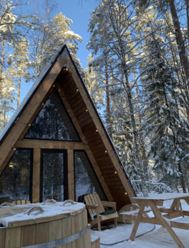 Домик в лесу с купелью — фото 5