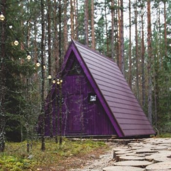 Домик в лесу — фото 2