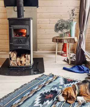 Домик в лесу с купелью — фото 2