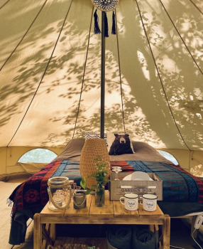 Комфортный шатер  с видом на лес — фото 3