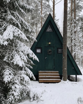 Домик в лесу с купелью — фото 1