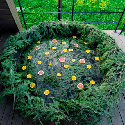 Московская область