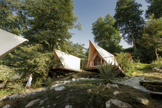 Южный вайб "Древо"