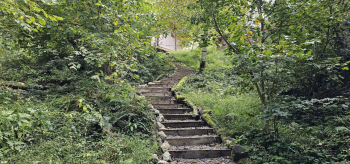 Домик Лесника — фото 2