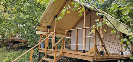 Южный вайб "Древо" — фото