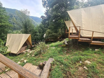 Южный вайб "Древо" — фото