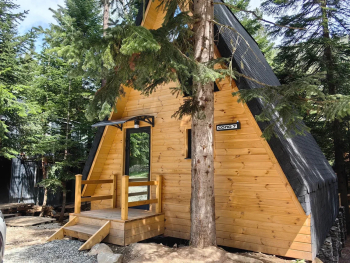 Дом Соло 7 в лесу — фото 8