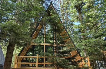 Дом Соло 7 в лесу — фото 1