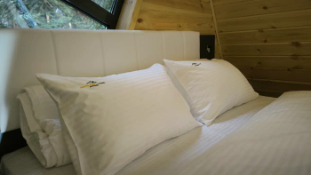 Дом Соло 6 в лесу — фото 6