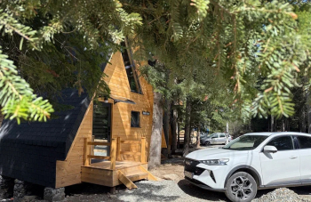 Дом Соло 7 в лесу — фото 6