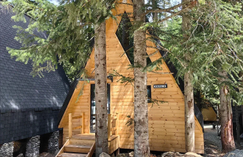 Дом Соло 8 в лесу — фото 1