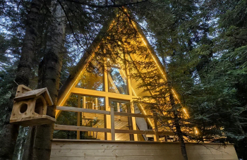 Дом Соло 7 в лесу — фото 2