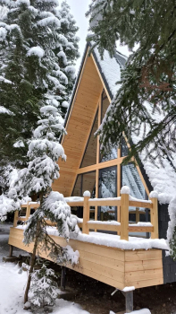 Дом Соло 6 в лесу — фото 4