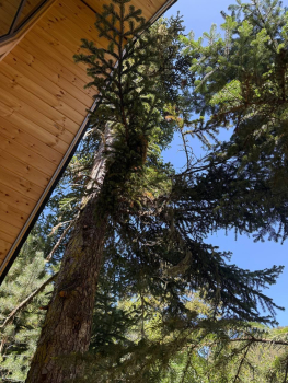 Дом Соло 2 с видом на реку — фото 9