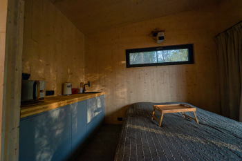 CLT ROOM Рыбка Поньо — фото 2