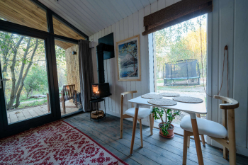 MINI 47  — фото 3