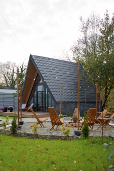 Лимон — фото 3