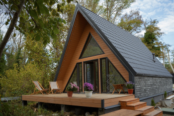 Мята — фото 2