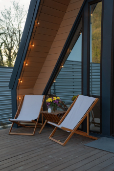 Лимон — фото 17