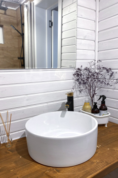 Лимон — фото 15