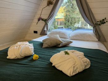 Мята — фото 5