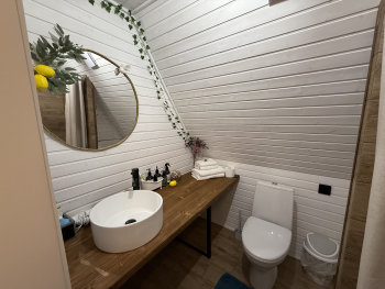 Мята — фото 15