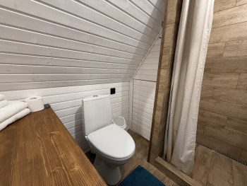 Мята — фото 18