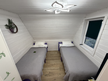 Мята — фото 6