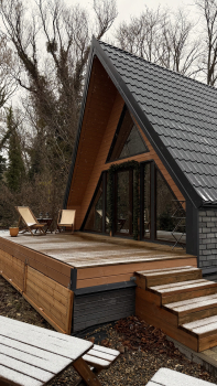 Мята — фото 1