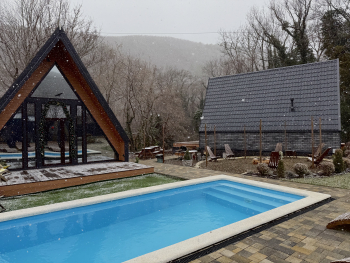 Лимон — фото 19