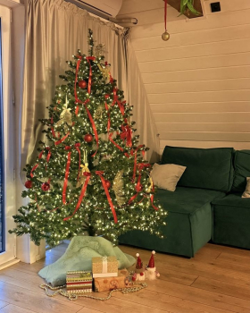 Мята — фото 3