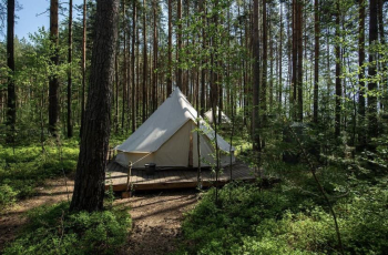 Палатка в лесу — фото 1