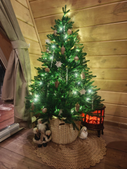 Дом 2 — фото 24