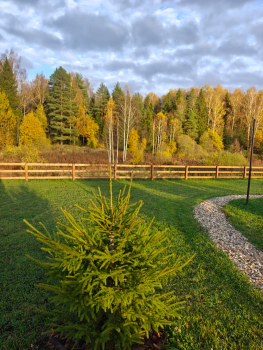 Дом 2 — фото 13