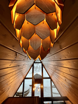 дом ЛОДКА — фото 20