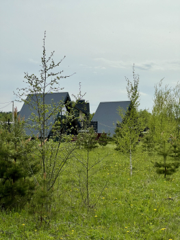 Дизайнерский дом ЛУНА — фото 31