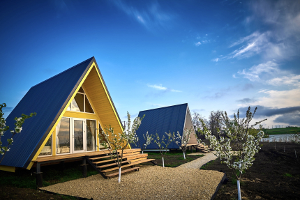 Терра23 — фото