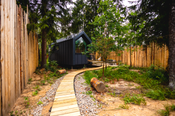 Черника — фото 2