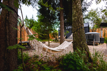 Черника — фото 15