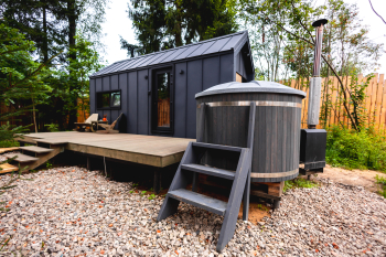 Черника — фото 16