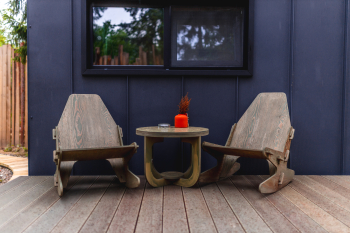 Черника — фото 17