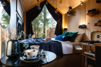 Черника — фото 3