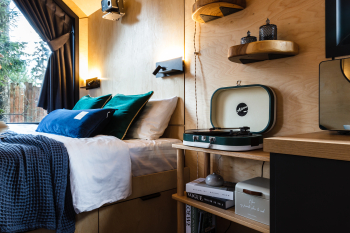 Черника — фото 7