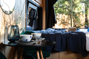 Черника — фото 4