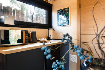 Черника — фото 9