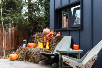 Черника — фото 18