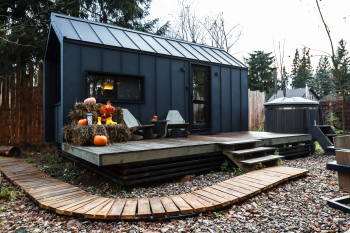 Черника — фото 19