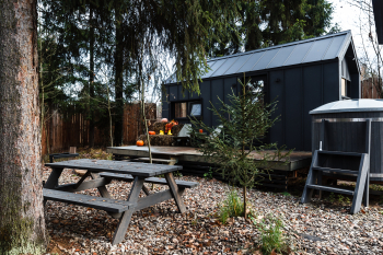 Черника — фото 20