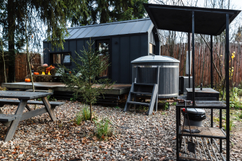 Черника — фото 21