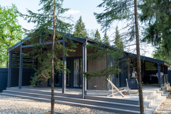 Смородина — фото 1